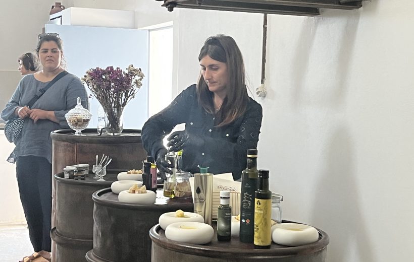 Experience Naxos Private Guided Tour: Kaloxylos - Filoti - Local Shepherd's Hut